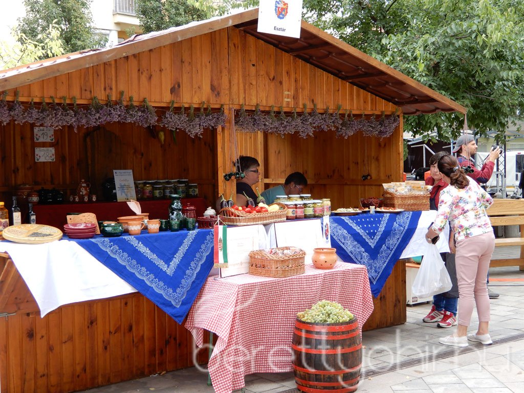 Helyi Értékek Startja 96